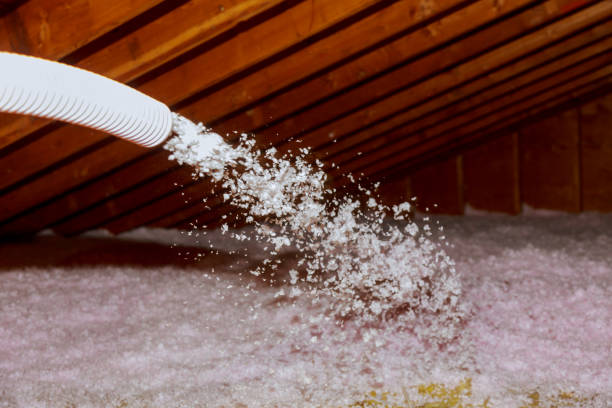 Best Insulation Removal  in Duncan, OK