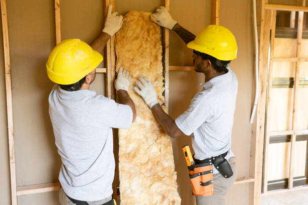 Best Cellulose Insulation  in Duncan, OK