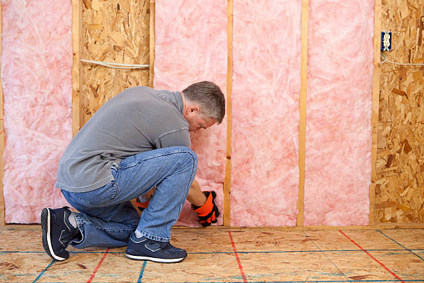 Best Wall Insulation Contractor  in Duncan, OK